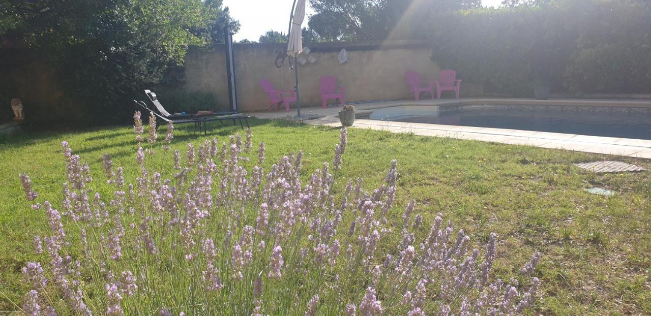 Apartamento La Vigne Et L'Olivier Villeneuve-lès-Avignon Exterior foto